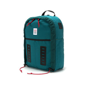 Curabitur cursus dignis