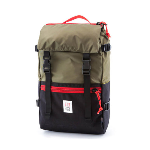 Maximus quam posuere